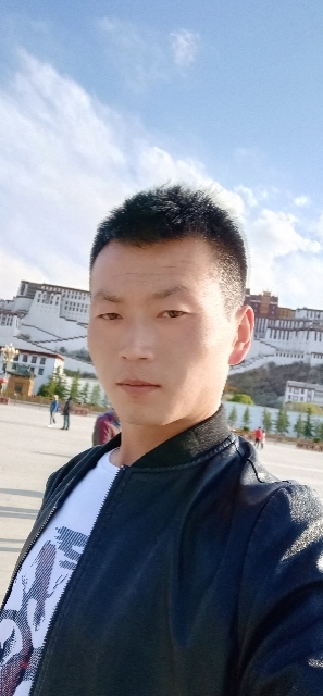 阳光下的小草的第一张照片--永登交友中心